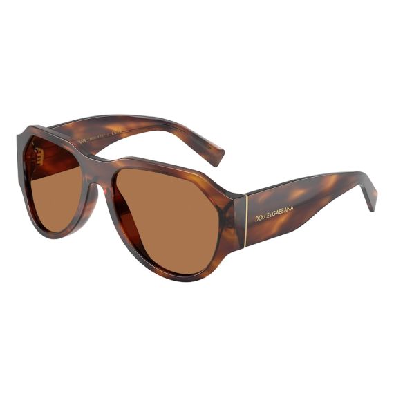 Dolce & Gabbana DG 4504 306373 Güneş Gözlüğü