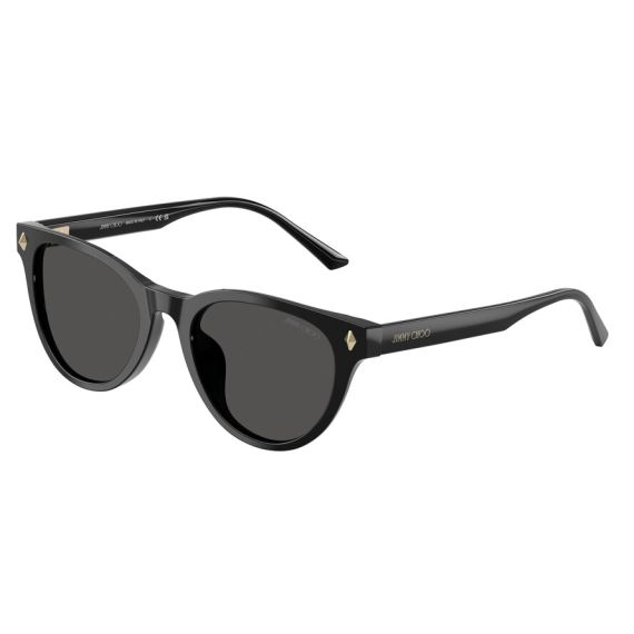 Jimmy Choo JC 5043D 500087 Güneş Gözlüğü