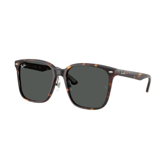 Ray-Ban RB 2206D 710/87 Güneş Gözlüğü