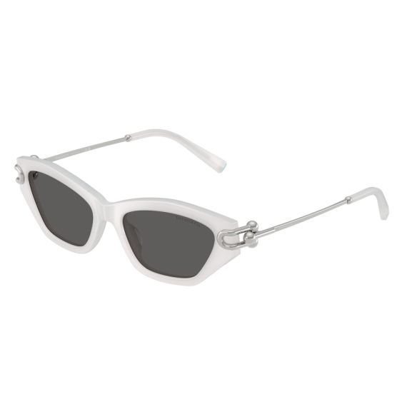 Tiffany TF 4231U 8437S4 Güneş Gözlüğü