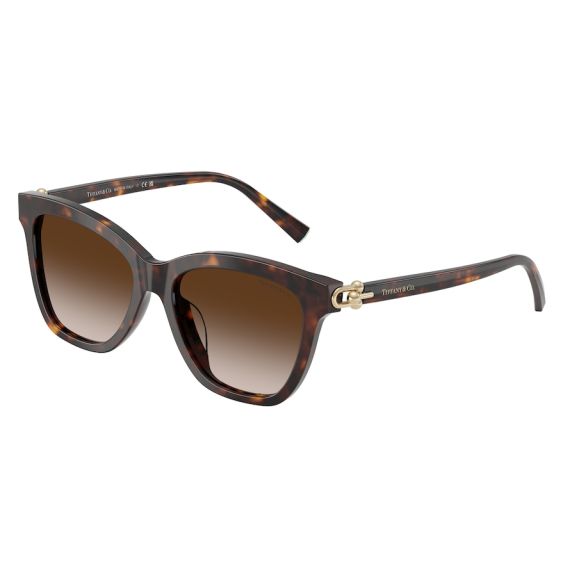 Tiffany TF 4241D 80153B Güneş Gözlüğü