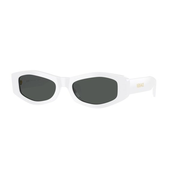 Versace VE 4487 314/87 Güneş Gözlüğü