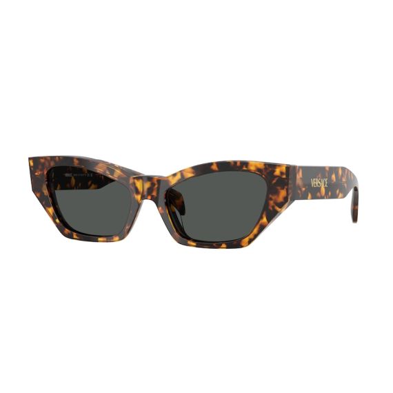 Versace VE 4488U 551487 Güneş Gözlüğü