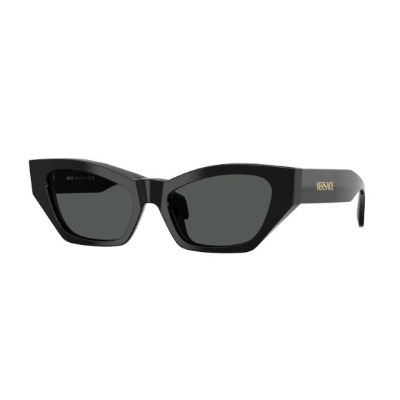 Versace VE 4488U GB1/87 Güneş Gözlüğü