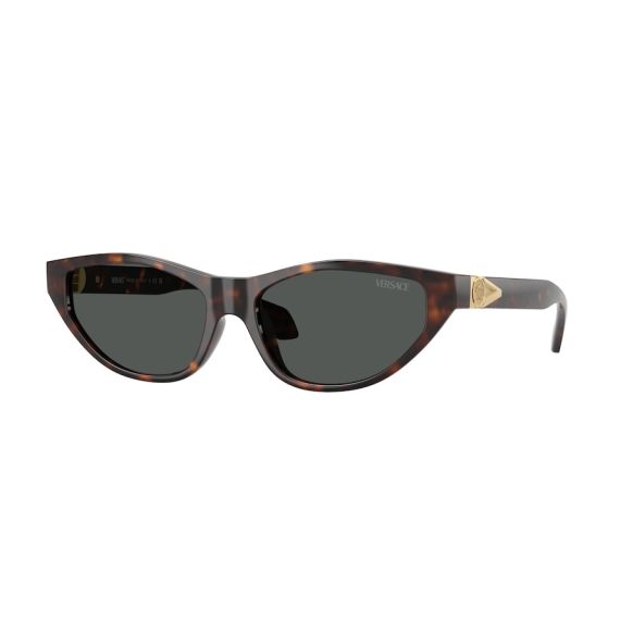 Versace VE 4491U 108/87 Güneş Gözlüğü