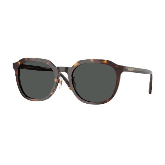 Versace VE 4493D 108/87 Güneş Gözlüğü