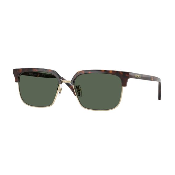Versace VE 4494D 108/71 Güneş Gözlüğü