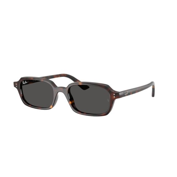 Ray-Ban RB 4455 135987 Güneş Gözlüğü