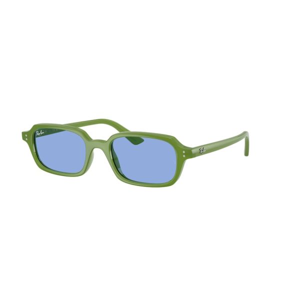 Ray-Ban RB 4455 681080 Güneş Gözlüğü