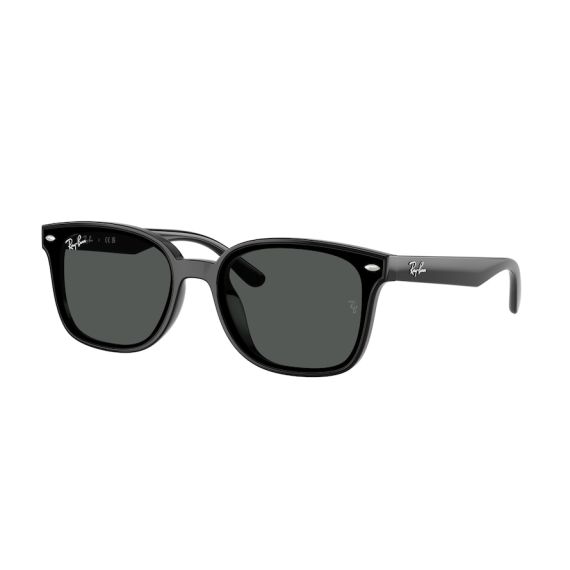 Ray-Ban RB 4461D 601/87 Güneş Gözlüğü