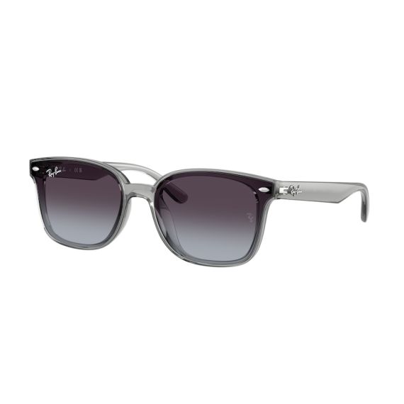 Ray-Ban RB 4461D 64508G Güneş Gözlüğü