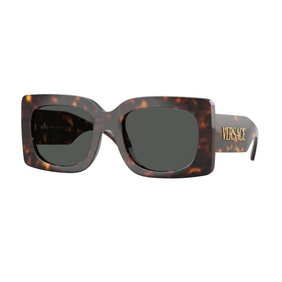 Versace VE 4496U 108/87 Güneş Gözlüğü