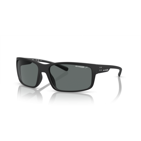 Arnette AN 4242 01/81 Güneş Gözlüğü