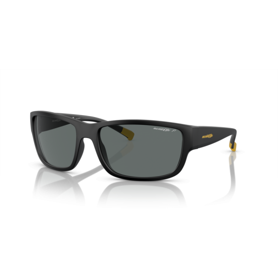 Arnette AN 4256 01/81 Güneş Gözlüğü