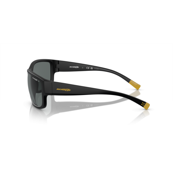 Arnette AN 4256 01/81 Güneş Gözlüğü