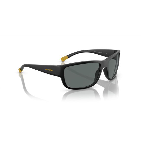 Arnette AN 4256 01/81 Güneş Gözlüğü