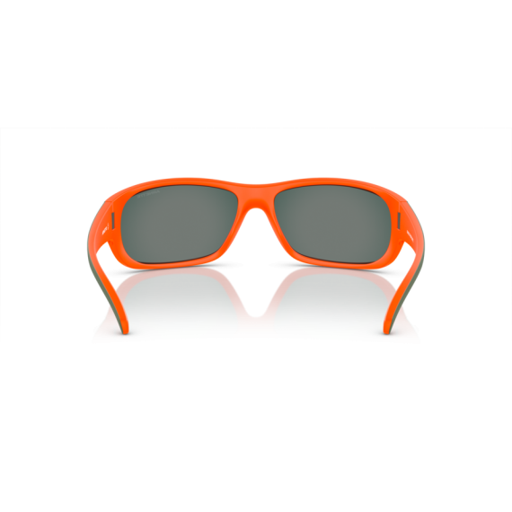 Arnette AN 4290 29436Q Güneş Gözlüğü
