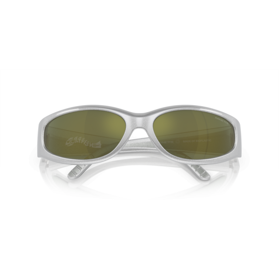 Arnette AN 4302 28676R Güneş Gözlüğü, Ekartman: 65
