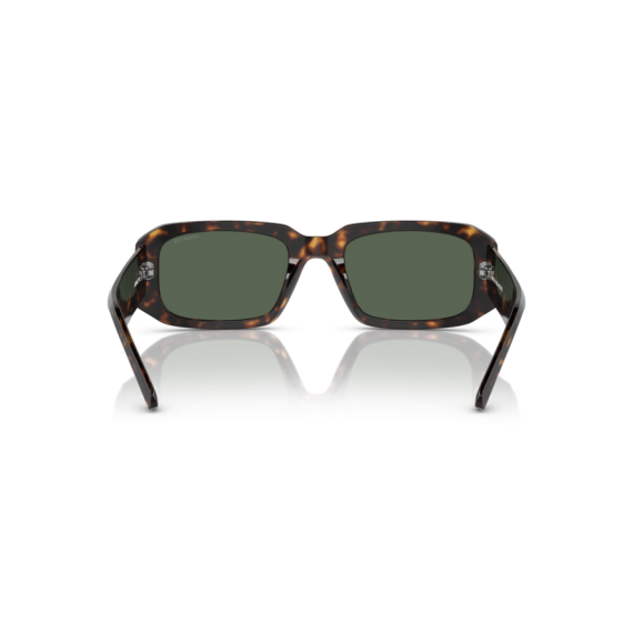 Arnette AN 4318 122271 Güneş Gözlüğü
