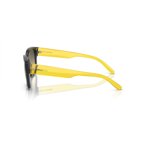 Arnette AN 4325 27862Q Güneş Gözlüğü