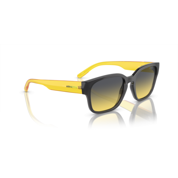 Arnette AN 4325 27862Q Güneş Gözlüğü