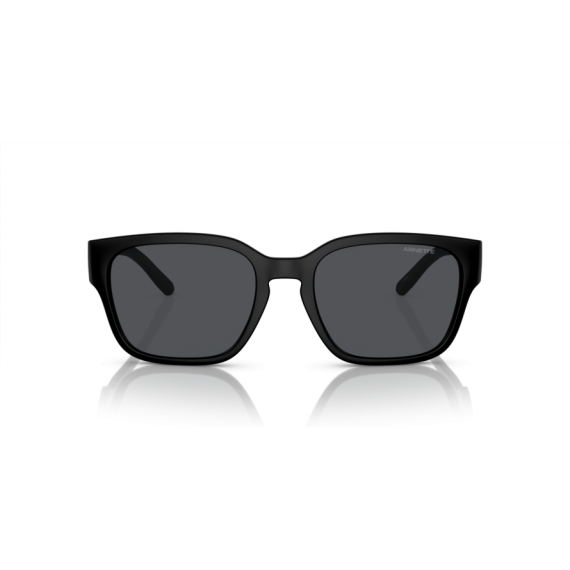 Arnette AN 4325 290087 Güneş Gözlüğü
