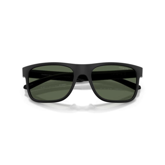 Arnette AN 4341 290071 Güneş Gözlüğü