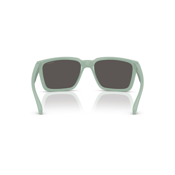 Arnette AN 4346 296487 Güneş Gözlüğü