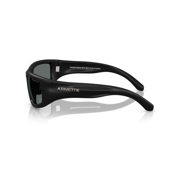 Arnette AN 4358 290081 Güneş Gözlüğü