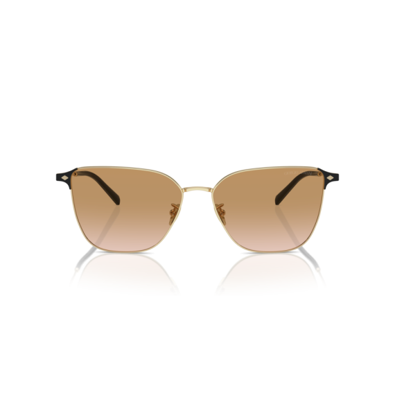 Giorgio Armani AR 6155 301313 Güneş Gözlüğü