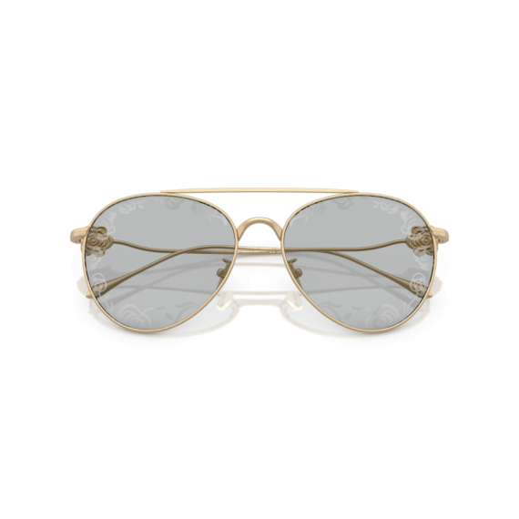 Giorgio Armani AR 6167 3002AL Güneş Gözlüğü