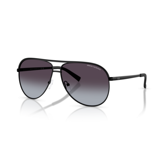 Armani Exchange AX 2002 60008G Güneş Gözlüğü