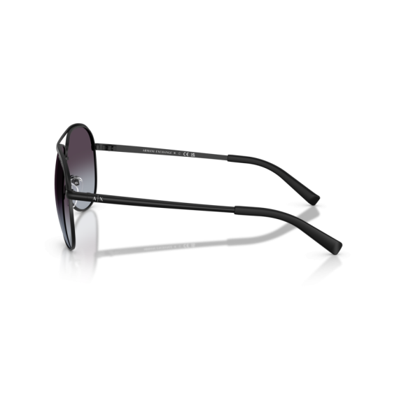 Armani Exchange AX 2002 60008G Güneş Gözlüğü