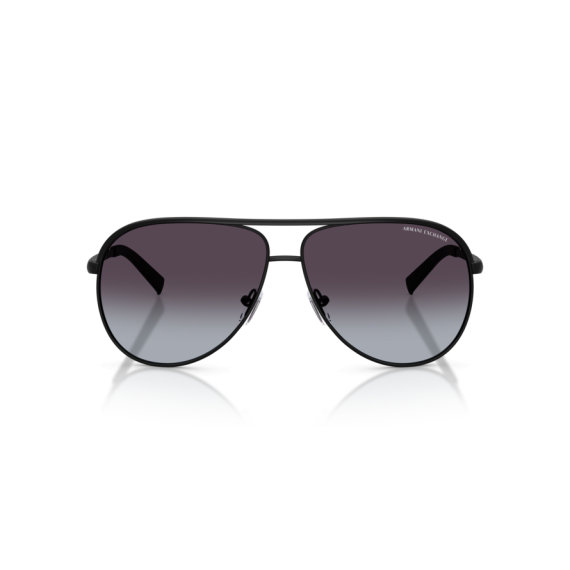Armani Exchange AX 2002 60008G Güneş Gözlüğü