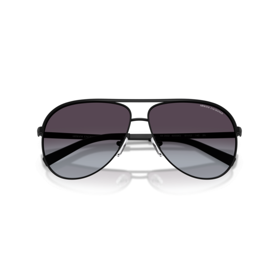 Armani Exchange AX 2002 60008G Güneş Gözlüğü