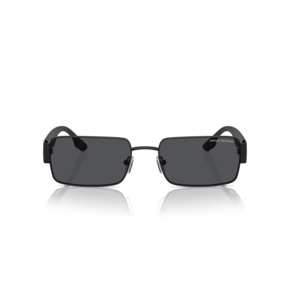 Armani Exchange AX 2052S 600087 Güneş Gözlüğü