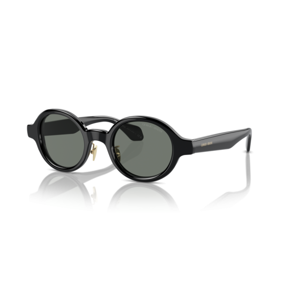 Giorgio Armani AR 8205 6060/1 Güneş Gözlüğü