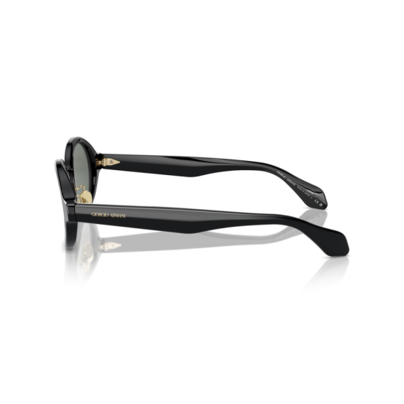 Giorgio Armani AR 8205 6060/1 Güneş Gözlüğü