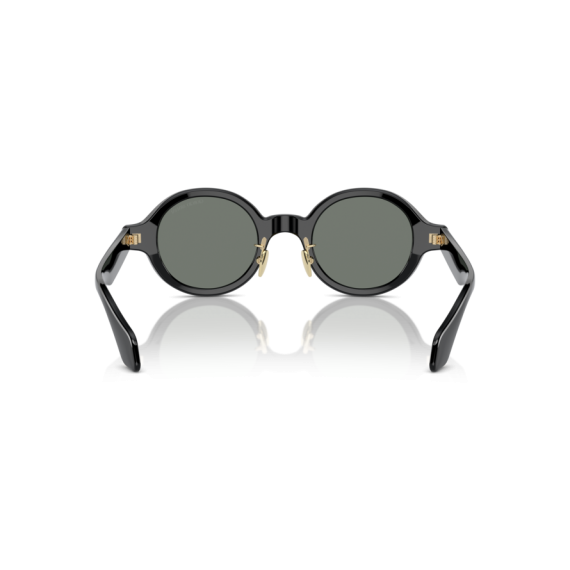 Giorgio Armani AR 8205 6060/1 Güneş Gözlüğü