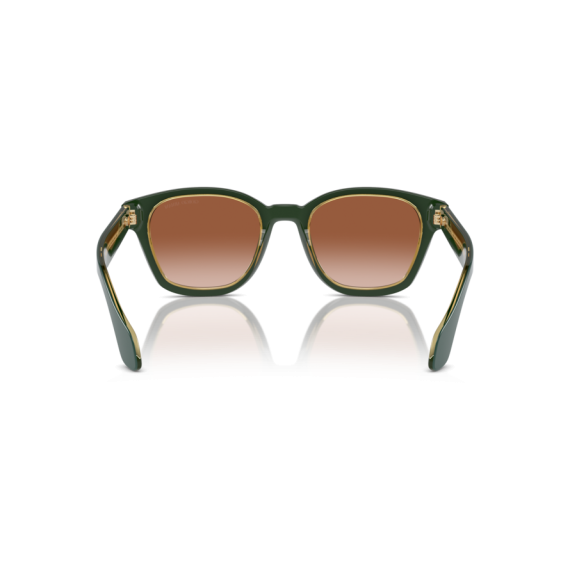 Giorgio Armani AR 8207 608613 Güneş Gözlüğü