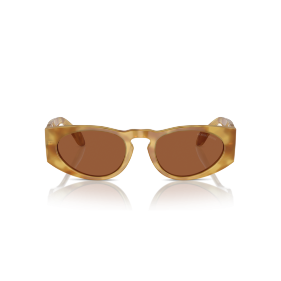 Giorgio Armani AR 8216 597973 Güneş Gözlüğü