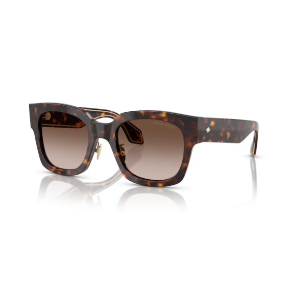 Giorgio Armani AR 8223 502613 Güneş Gözlüğü
