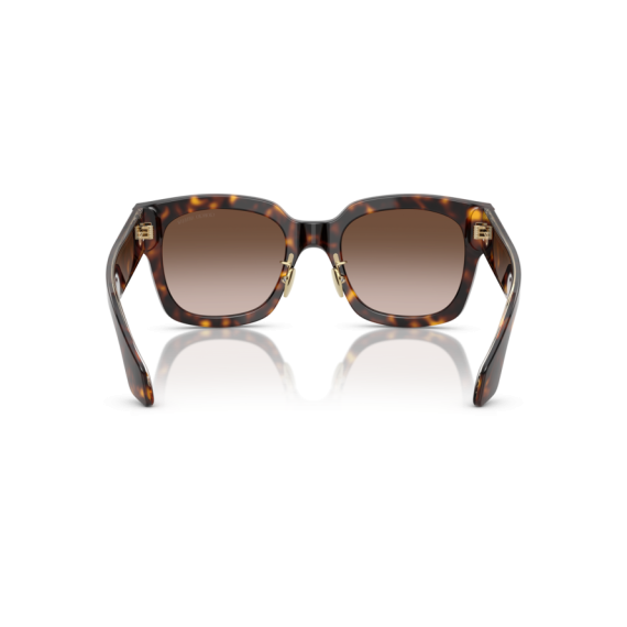 Giorgio Armani AR 8223 502613 Güneş Gözlüğü