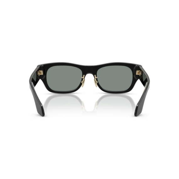 Giorgio Armani AR 8224 500111 Güneş Gözlüğü