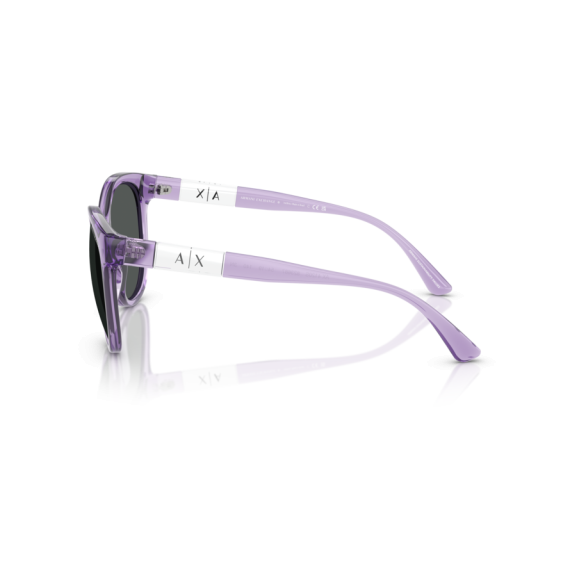 Armani Exchange AX 4120S 823687 Güneş Gözlüğü