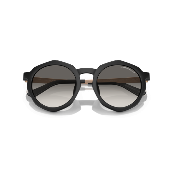 Armani Exchange AX 4132SU 815811 Güneş Gözlüğü