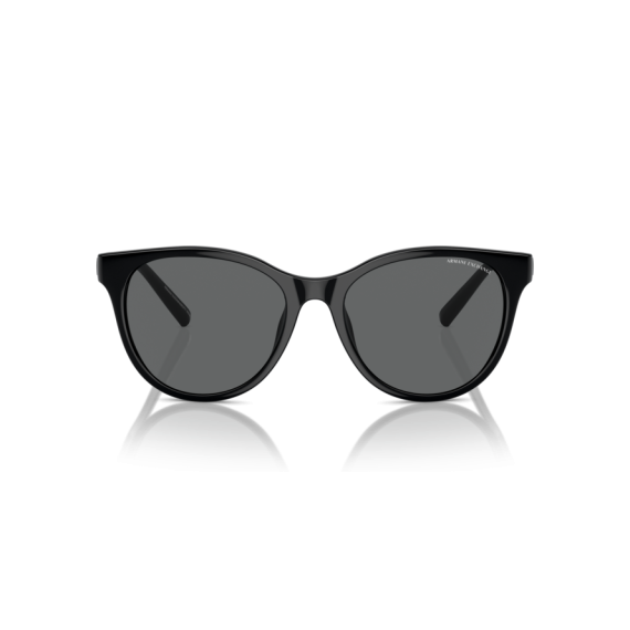 Armani Exchange AX 4144SU 815887 Güneş Gözlüğü