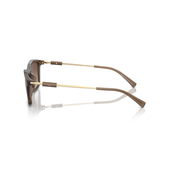 Armani Exchange AX 4146SU 834913 Güneş Gözlüğü