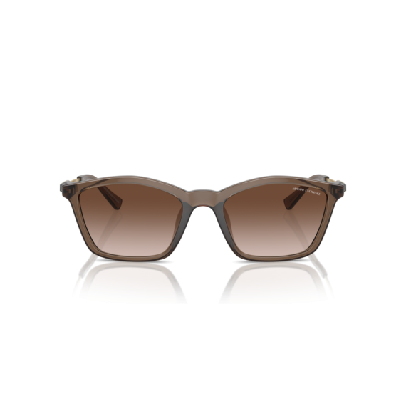 Armani Exchange AX 4146SU 834913 Güneş Gözlüğü