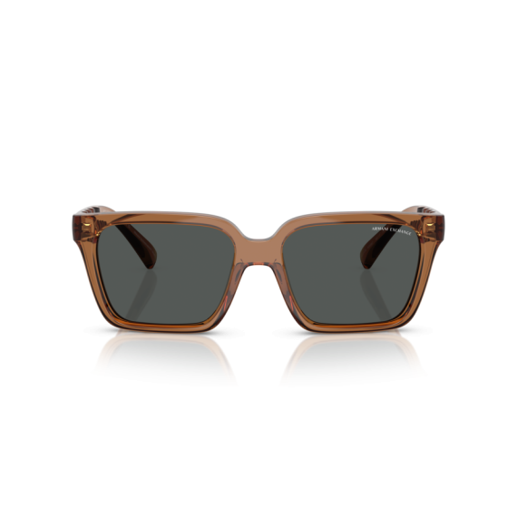 Armani Exchange AX 4147S 835887 Güneş Gözlüğü